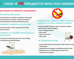 Ковид не передается через укусы комара