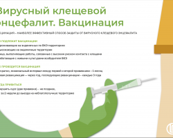 Вирусный клещевой энцефалит.Вакцинация