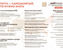 самозанятый2