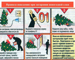 без ть елка